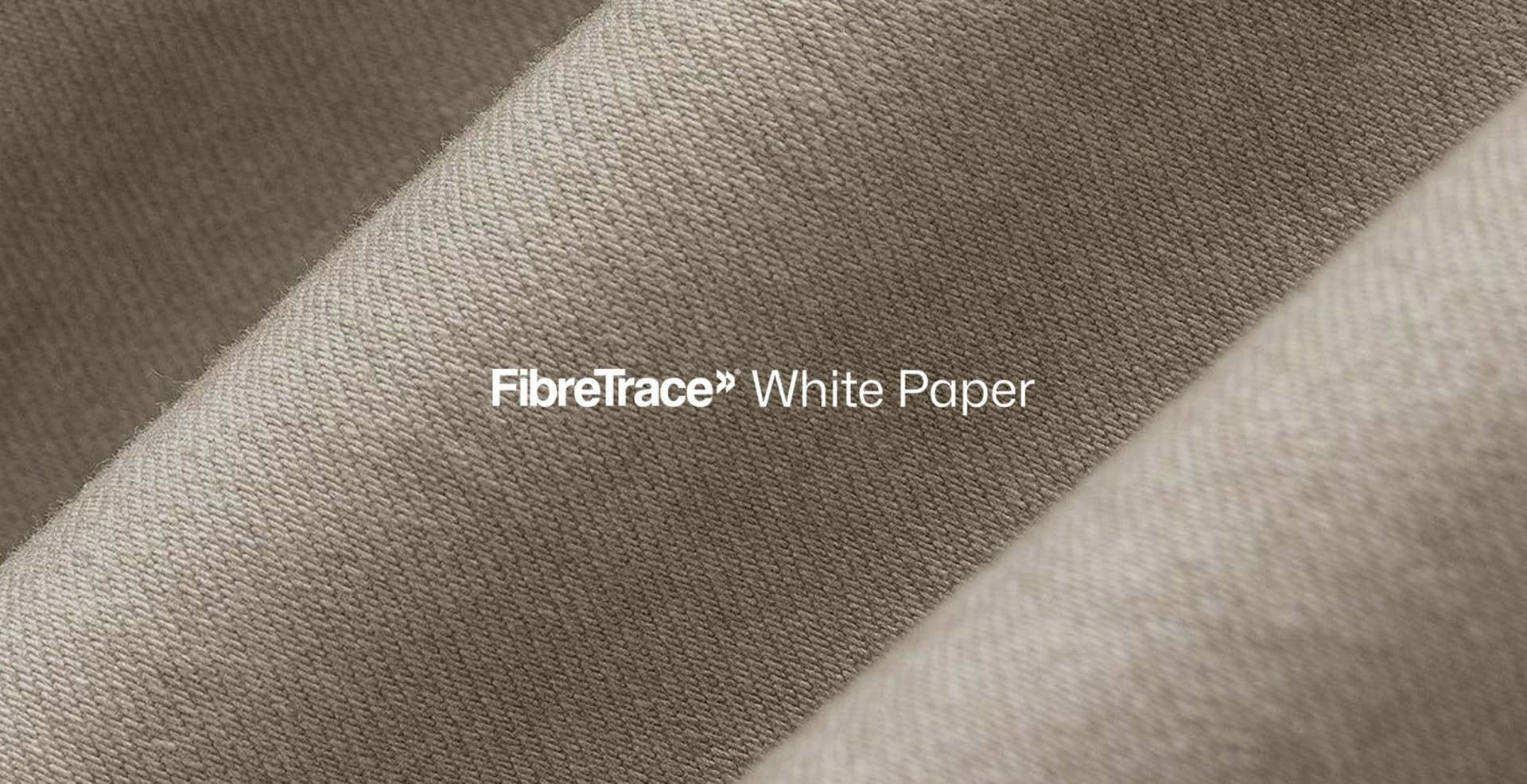 Transparency in 2024 | White Paper by Victoria Pearson